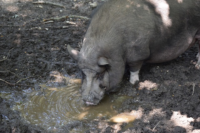 可忽視的力 可忽視的力