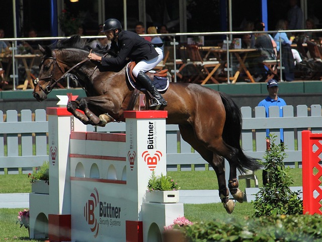 为第一要务 为第一要务