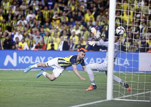 念与文化之 念与文化之