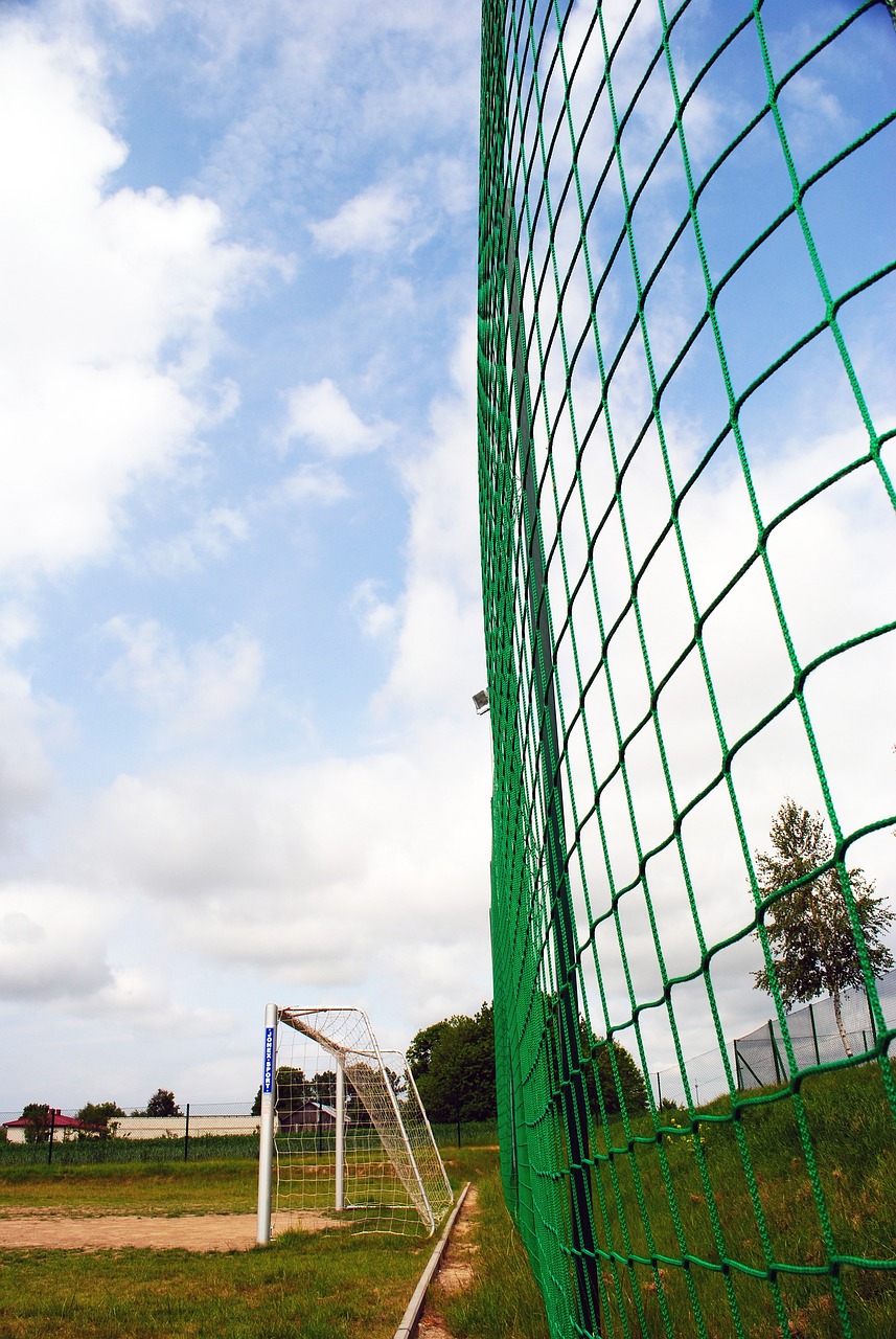 打开了胜利 打开了胜利