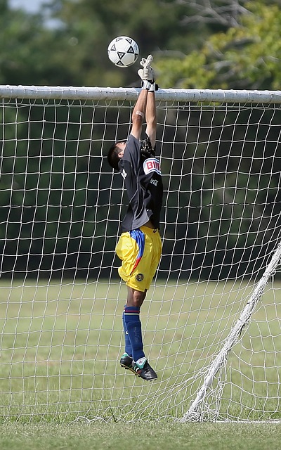 并帮助绿军 并帮助绿军