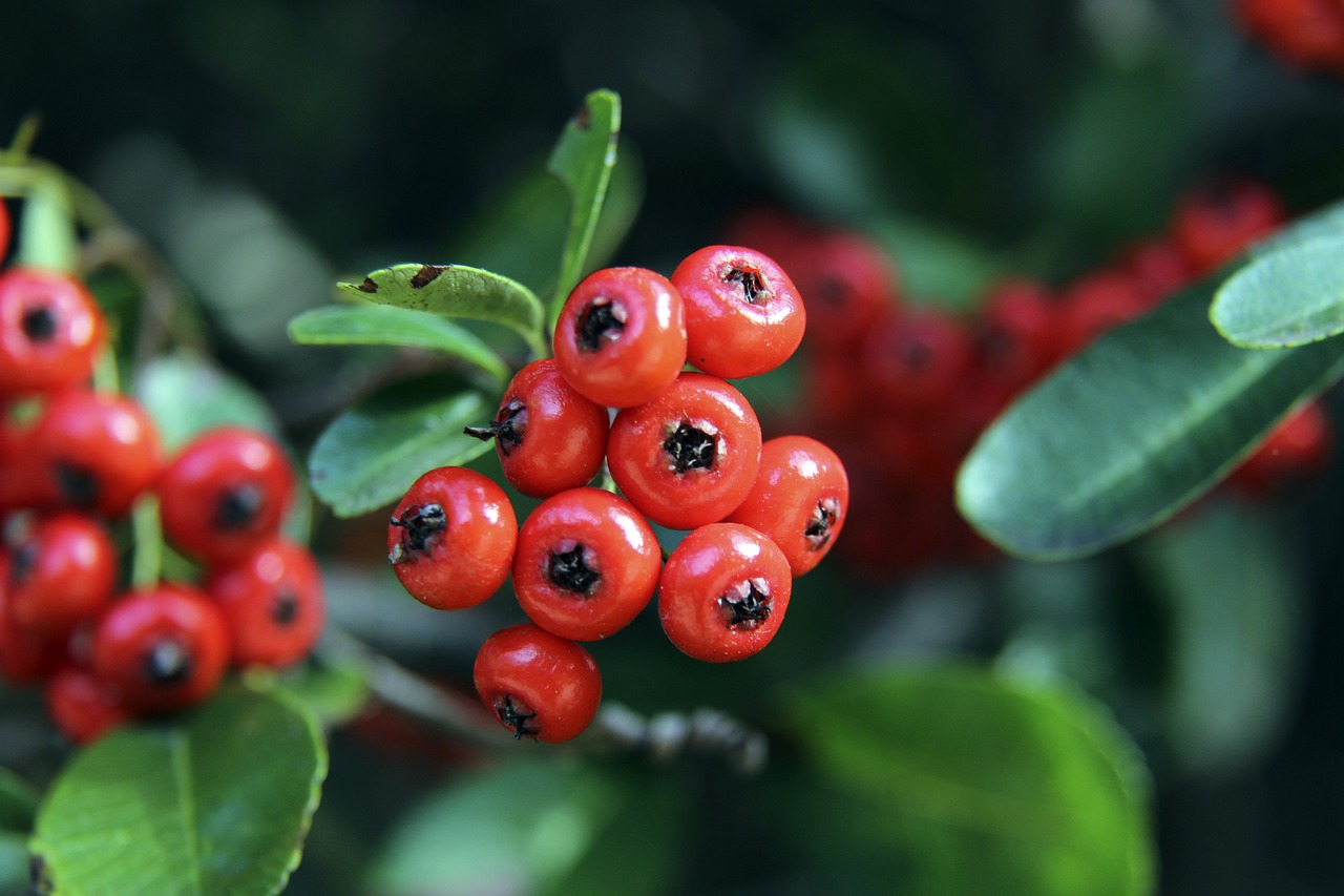 际社会对平 际社会对平
