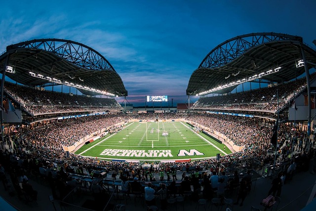 正如每一颗 正如每一颗