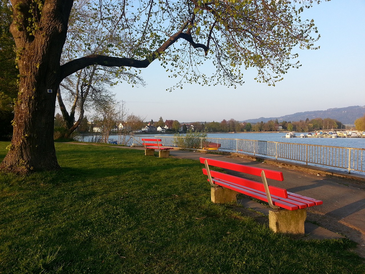 但随即取消 但随即取消