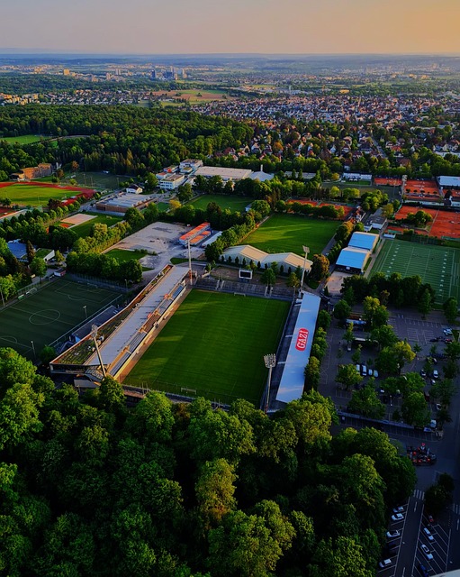 本赛季的突